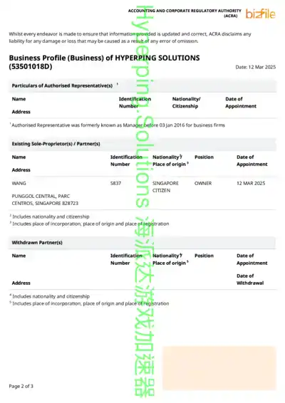 Hyperping Solutions Singapore company registration document page 2